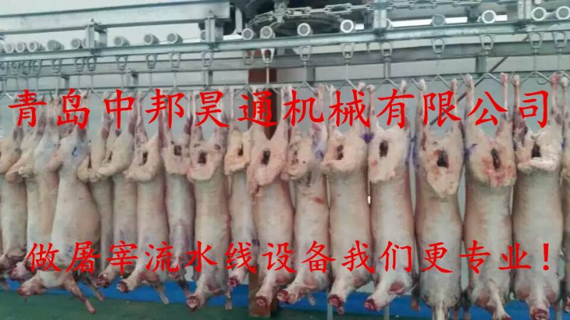 屠宰設(shè)備生產(chǎn)廠家成功調(diào)試屠宰流水線設(shè)備
