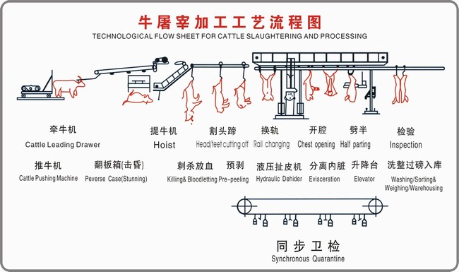 牛屠宰設備加工工藝流程（圖）